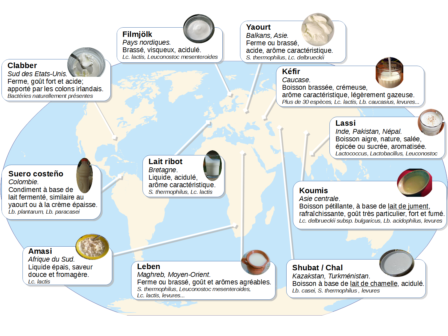 Quelques laits fermentés autour du monde